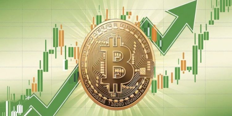 Crypto Market Recap: New Hampshire First for State Crypto Reserves, Trump’s Ventures Stir Controversy