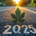 New Cannabis Consumption Trends, Regulatory Shifts Seen Driving Market in 2025