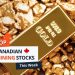 Top 5 Canadian Mining Stocks This Week: Lion Rock Jumps 60 Percent