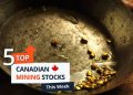 Top 5 Canadian Mining Stocks This Week: Guardian Exploration Gains 94 Percent