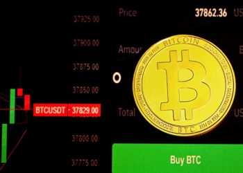 Crypto Market Update: Institutional Treasuries Scale Back BTC Acquisitions Sharply